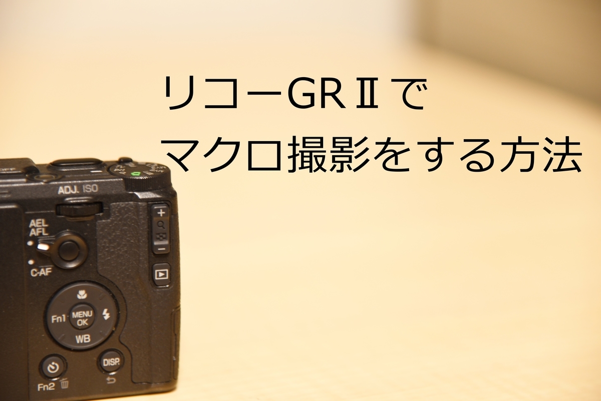 リコーGRⅡでマクロ撮影をする方法 - けあとんのブログ