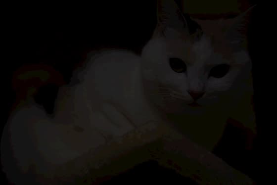 f:id:keatn:20200406190241j:plain