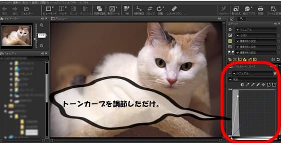 f:id:keatn:20200406200343j:plain