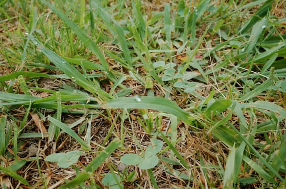 f:id:keatn:20200607103618j:plain f:id:keatn:20200607103618j:plain