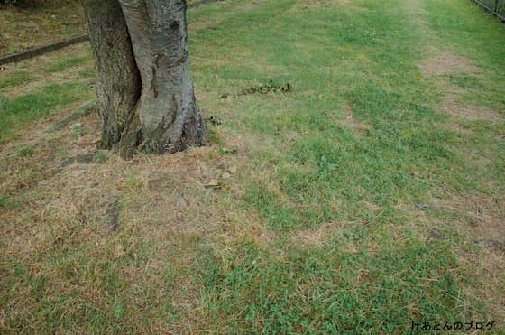 f:id:keatn:20200607103625j:plain f:id:keatn:20200607103625j:plain