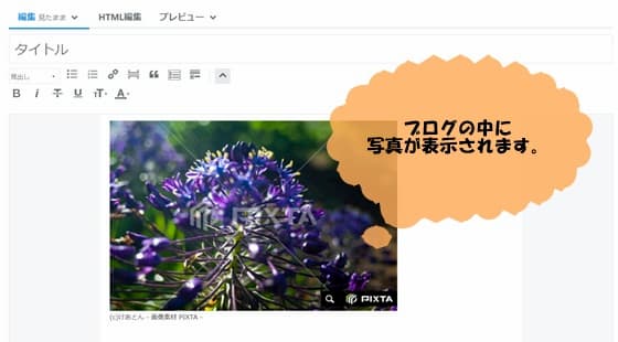 f:id:keatn:20200625172634j:plain f:id:keatn:20200625172634j:plain