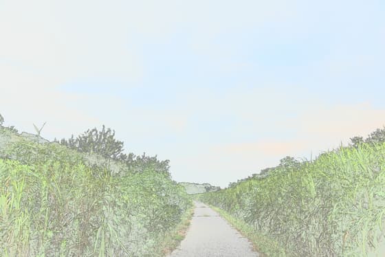 f:id:keatn:20200816142703j:plain