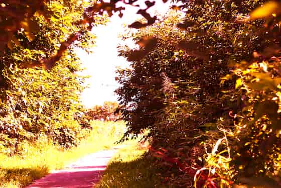 f:id:keatn:20200828081932j:plain f:id:keatn:20200828081932j:plain