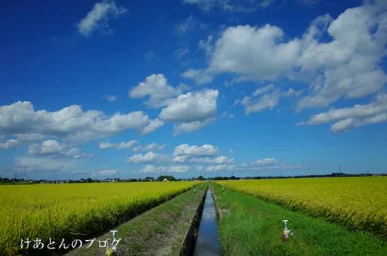 f:id:keatn:20200830161846j:plain