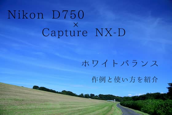 f:id:keatn:20200830201748j:plain f:id:keatn:20200830201748j:plain