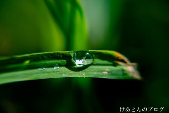 f:id:keatn:20200913164622j:plain f:id:keatn:20200913164622j:plain