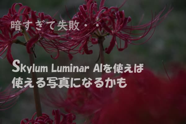Skylum Luminar AIを使えば失敗写真がよみがえるかも。タイトル画像