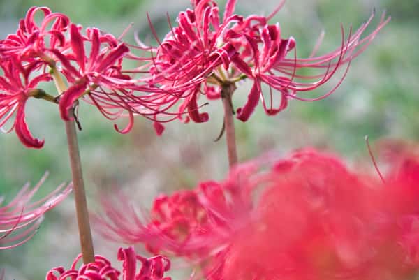 失敗写真(ノイズ軽減後)