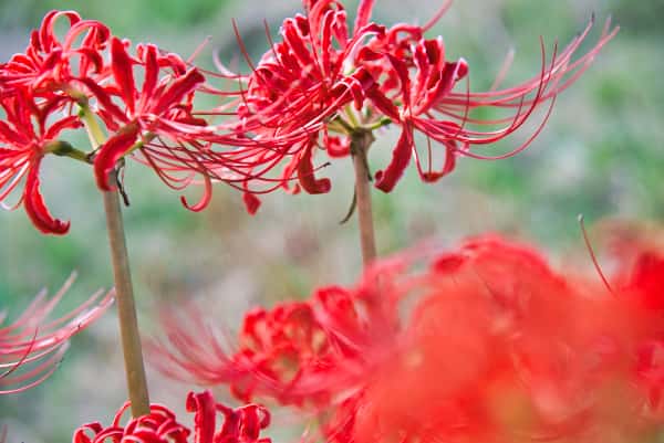 失敗写真(スーパーコントラスト)