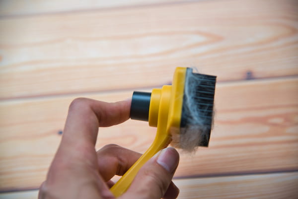 ブラシのボタン