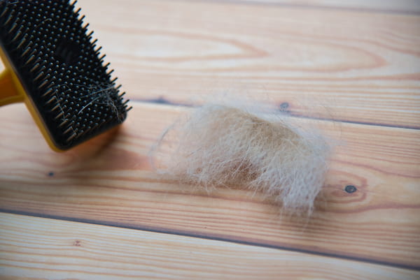 ブラシから毛を取るのは簡単