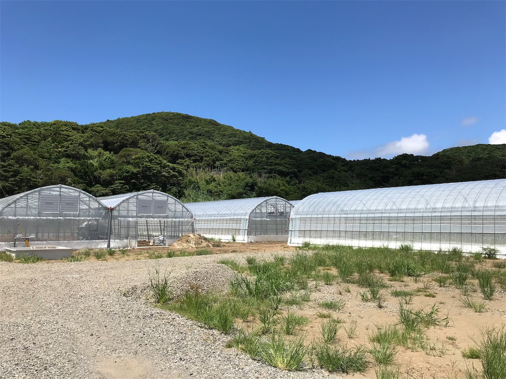 f:id:kebitan99:20190831221531j:image