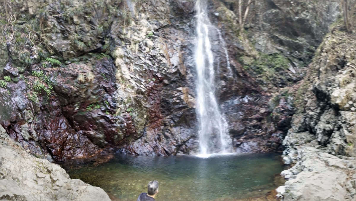 f:id:kechico:20200322143821j:plain f:id:kechico:20200322143821j:plain