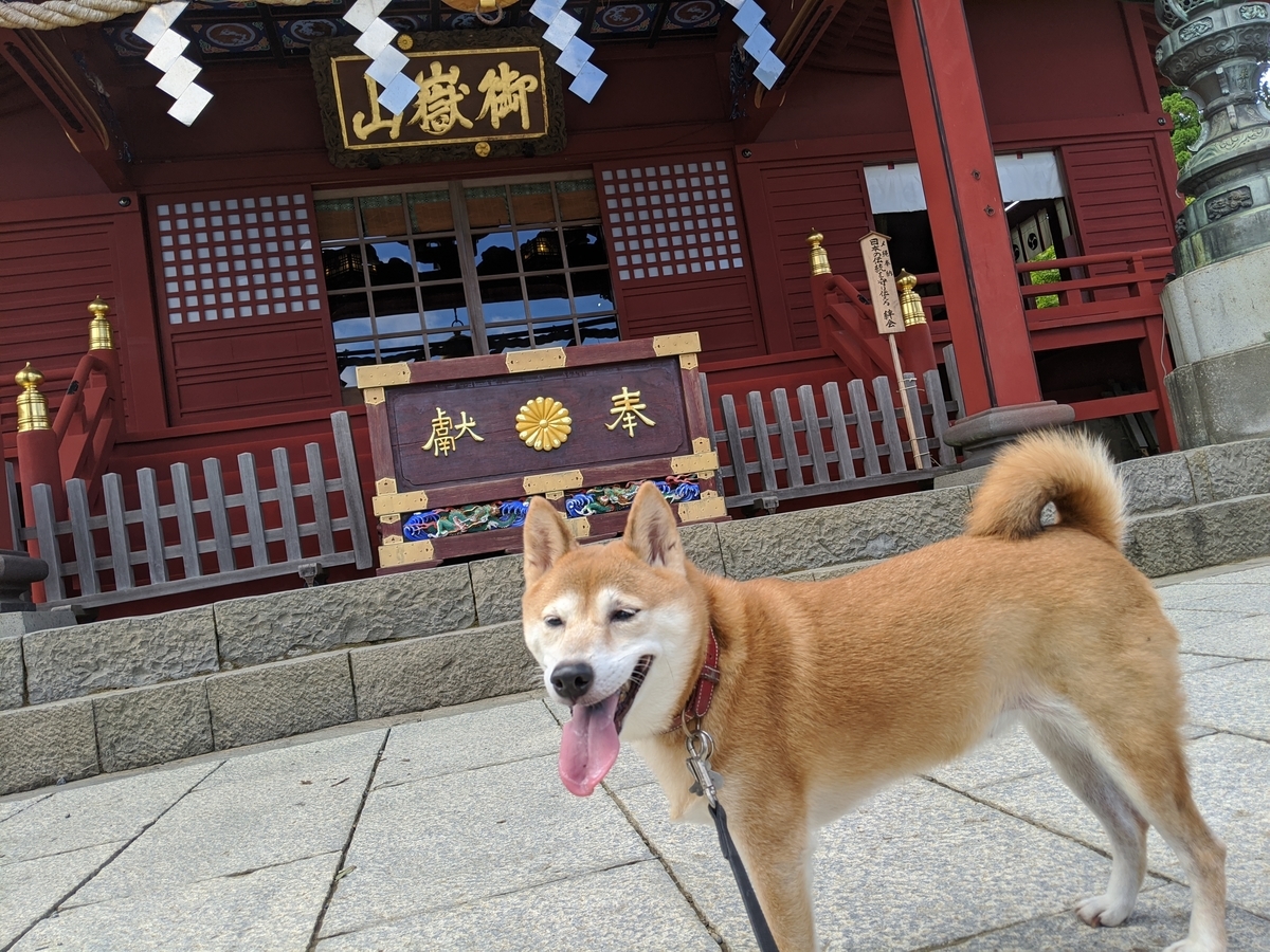 Yamapの奥多摩ハイカー制覇 ケチ子おばさんの空色ハット