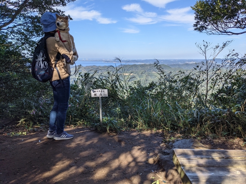 f:id:kechico:20211025163837j:plain