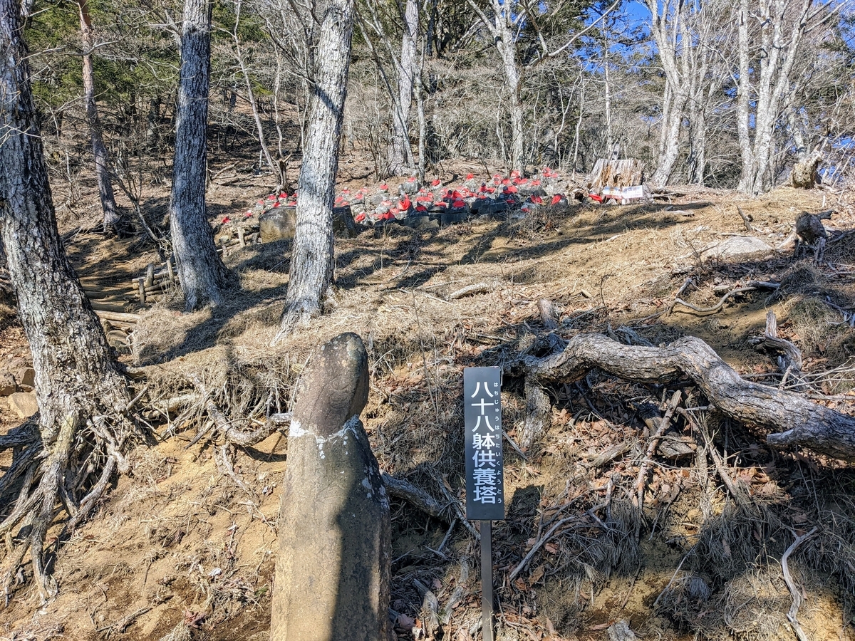 三ツ峠山 開運山 - ケチ子おばさんの空色ハット