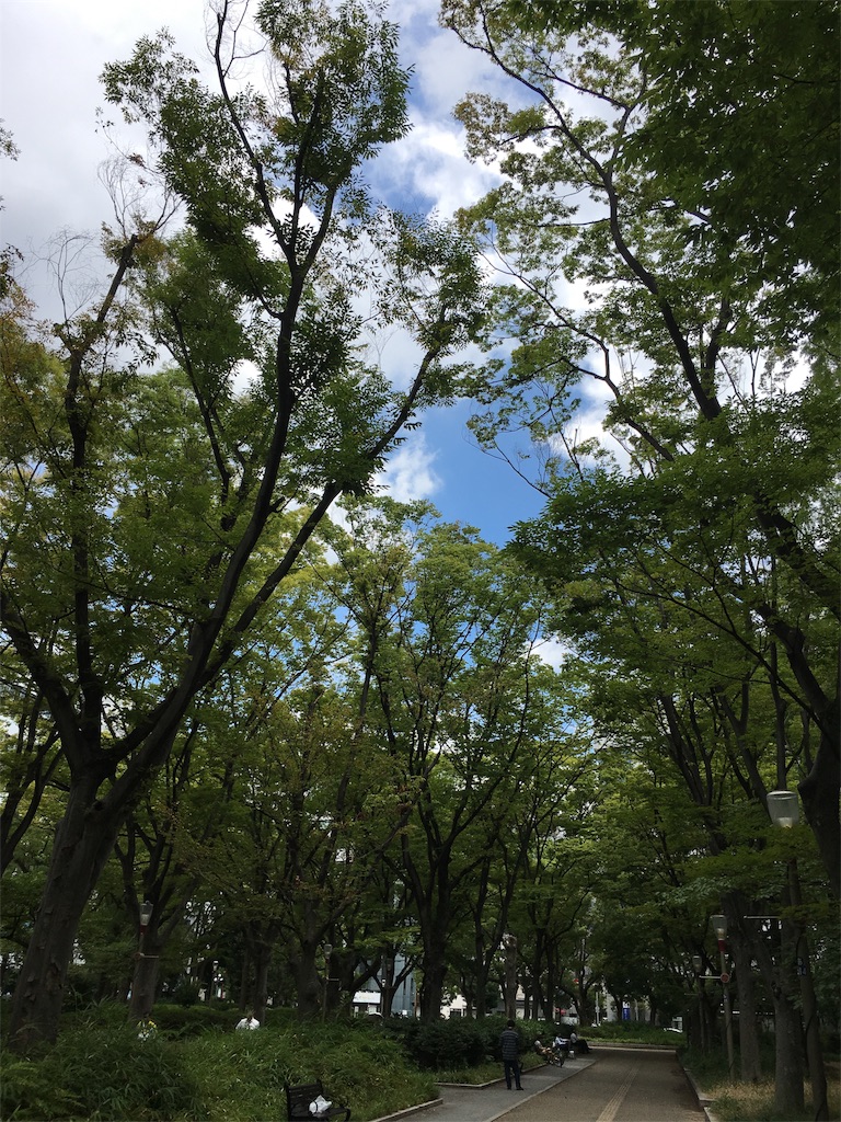 f:id:kedaitakenukitsu:20170816153043j:image f:id:kedaitakenukitsu:20170816153043j:image