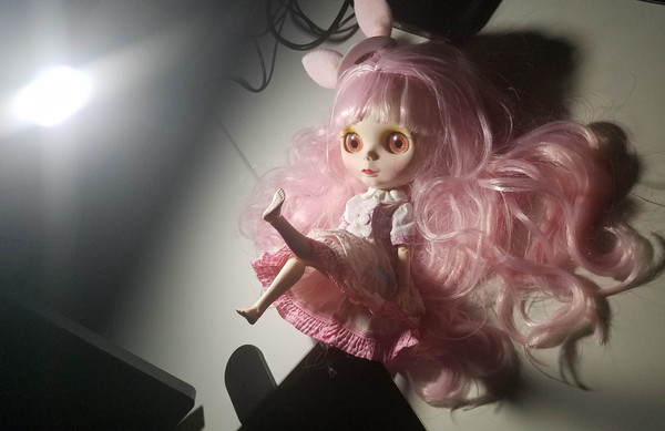 f:id:kedama_okm_pppokm:20191115124021j:plain f:id:kedama_okm_pppokm:20191115124021j:plain