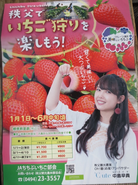 f:id:kedamatoriko:20170203162129j:plain