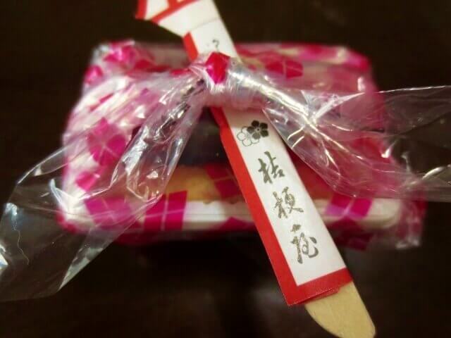 f:id:kedamatoriko:20170612102216j:plain