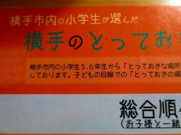 f:id:kedamatoriko:20170821113123j:plain