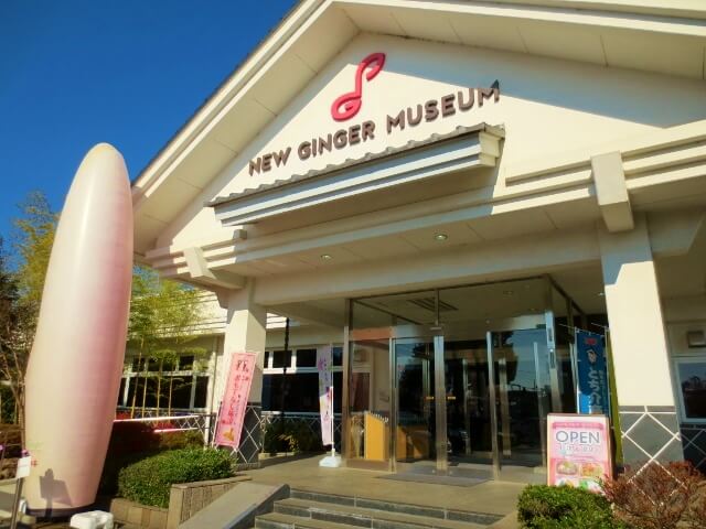 栃木市観光 栃木駅周遊旅行 たらふく美味いもの食べてきた 17忘年会 珈琲とけだま