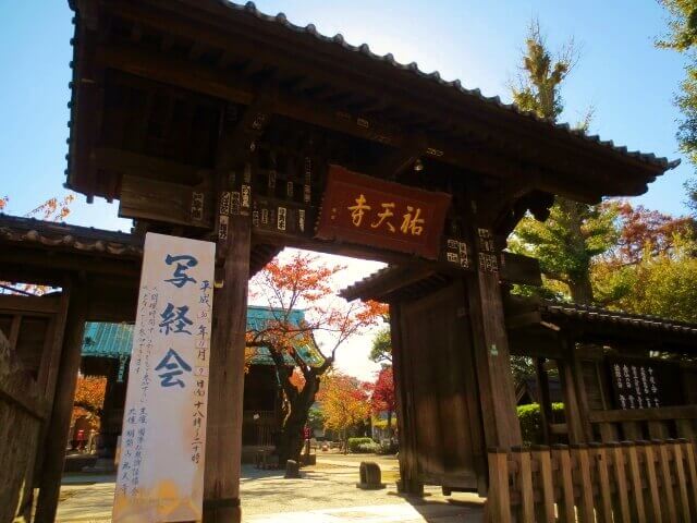 f:id:kedamatoriko:20181201121335j:plain
