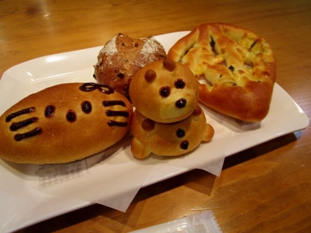 f:id:kedamatoriko:20191002195513j:plain