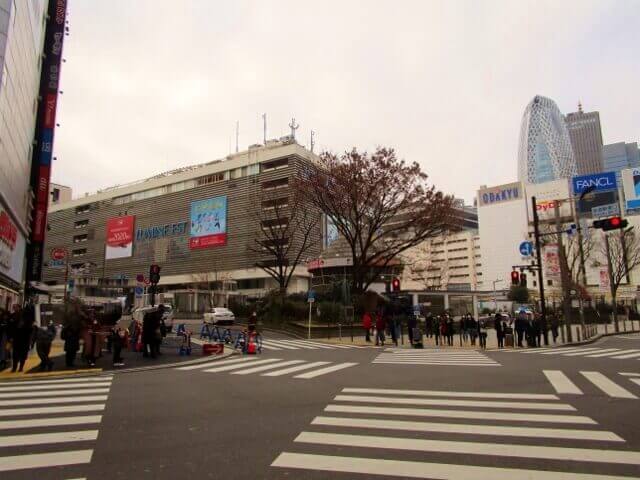 f:id:kedamatoriko:20200217063114j:plain f:id:kedamatoriko:20200217063114j:plain