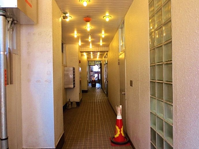 f:id:kedamatoriko:20200529091935j:plain