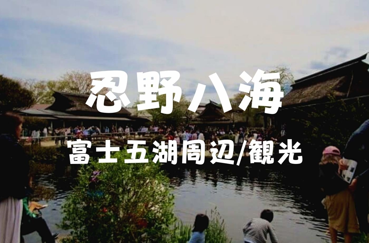 忍野観光 魚にえさやり 子どもと楽しんで 忍野八海 まわろう 珈琲とけだま 忍野観光 魚にえさやり 子どもと楽しんで 忍野八海 まわろう 珈琲とけだま