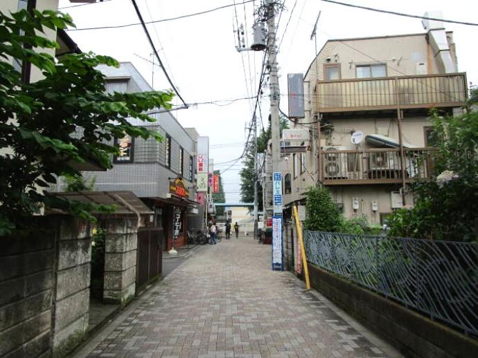 f:id:kedamatoriko:20200630175924j:plain