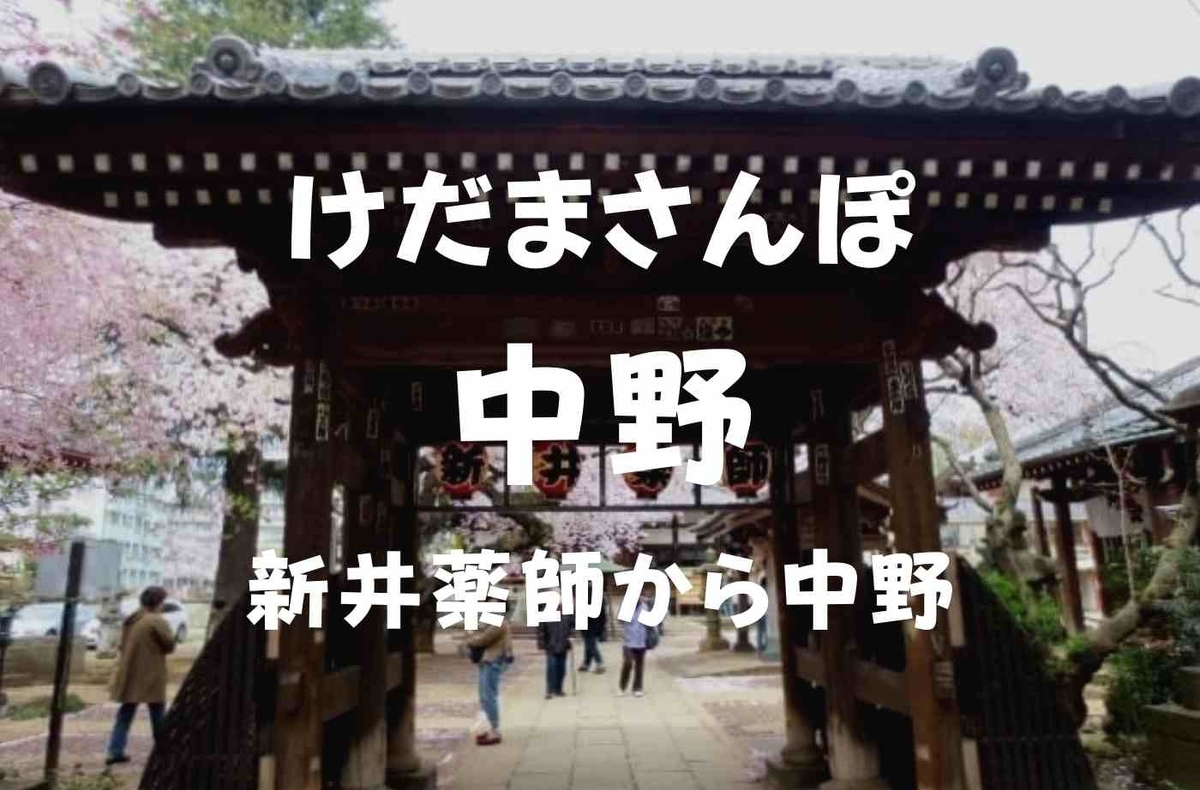 けだまさんぽ 新井薬師前駅から中野駅までぶらり散歩 桜見ながら歩きませんか 珈琲とけだま けだまさんぽ 新井薬師前駅から中野駅までぶらり散歩 桜見ながら歩きませんか 珈琲とけだま