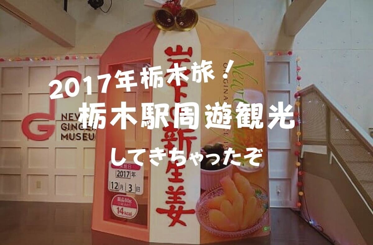 f:id:kedamatoriko:20211122184359j:plain