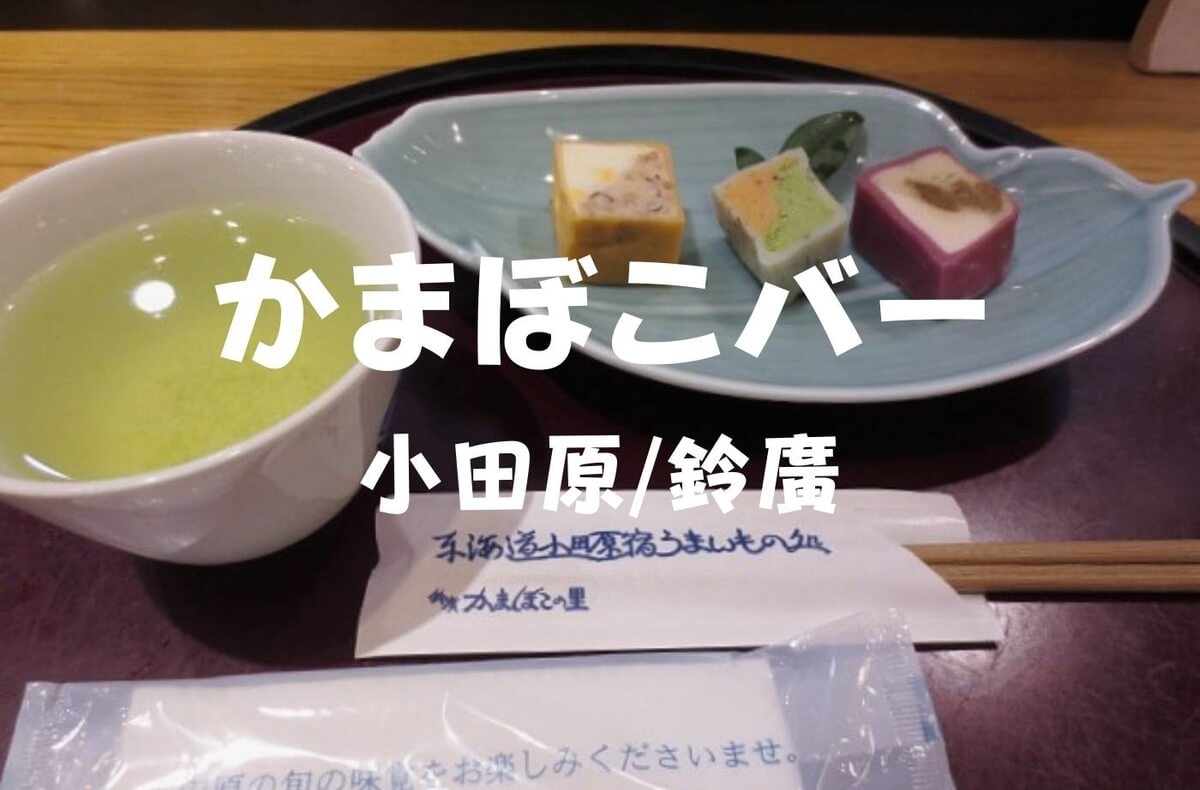 f:id:kedamatoriko:20211208132044j:plain
