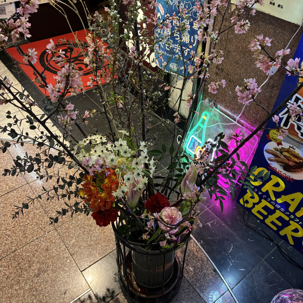 f:id:kedamatoriko:20260224203350p:image f:id:kedamatoriko:20260224203350p:image