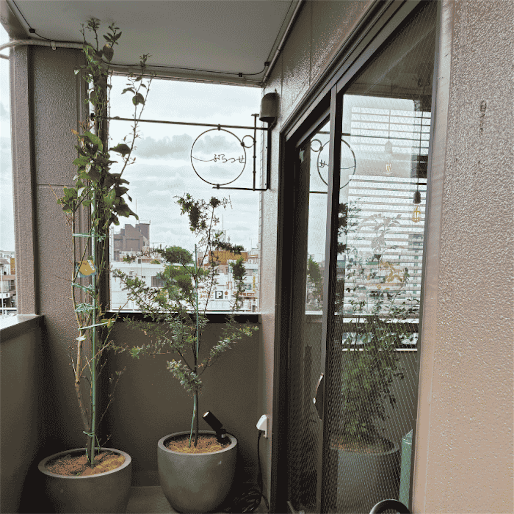 f:id:kedamatoriko:20260501074525p:image