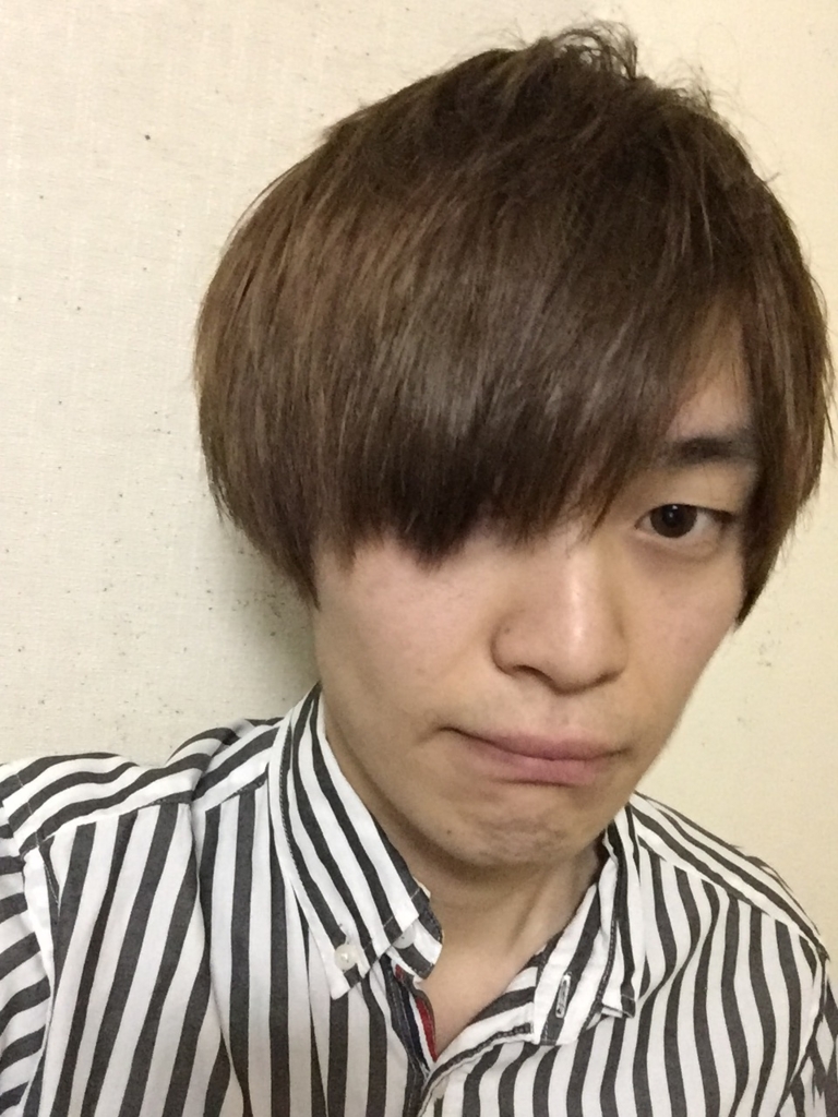f:id:keeee-n-gooooo:20170127210701j:plain