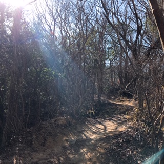 f:id:keeemura:20190120214032j:plain