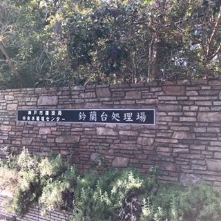 f:id:keeemura:20190120221608j:plain