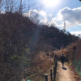 f:id:keeemura:20190120221953j:plain