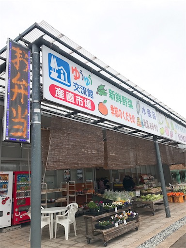 f:id:keeemura:20190217194717j:image f:id:keeemura:20190217194717j:image