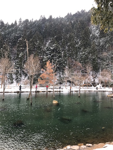f:id:keeemura:20190218210048j:image f:id:keeemura:20190218210048j:image