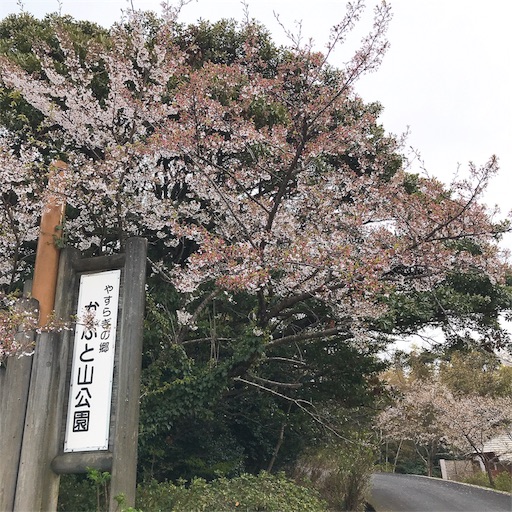 f:id:keeemura:20190415191837j:image f:id:keeemura:20190415191837j:image