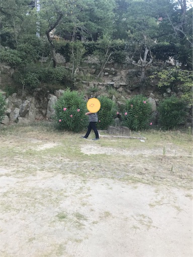 f:id:keeemura:20190426235006j:image f:id:keeemura:20190426235006j:image