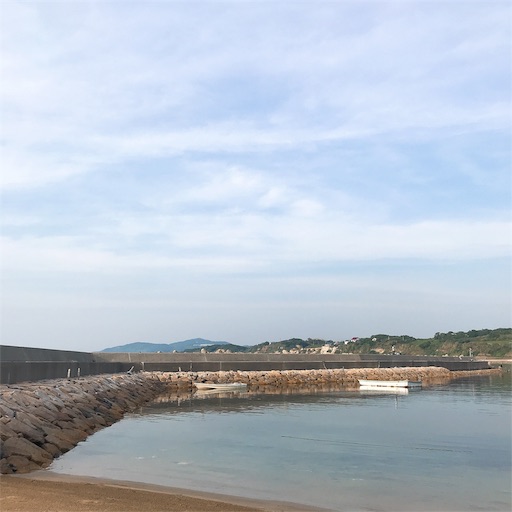 f:id:keeemura:20190529171323j:image