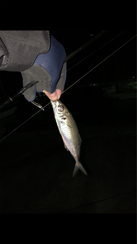 f:id:keeemura:20190827065728p:image f:id:keeemura:20190827065728p:image