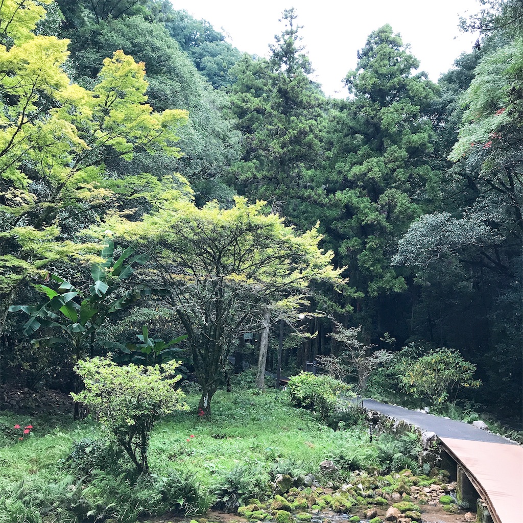 f:id:keeemura:20191012214325j:image f:id:keeemura:20191012214325j:image
