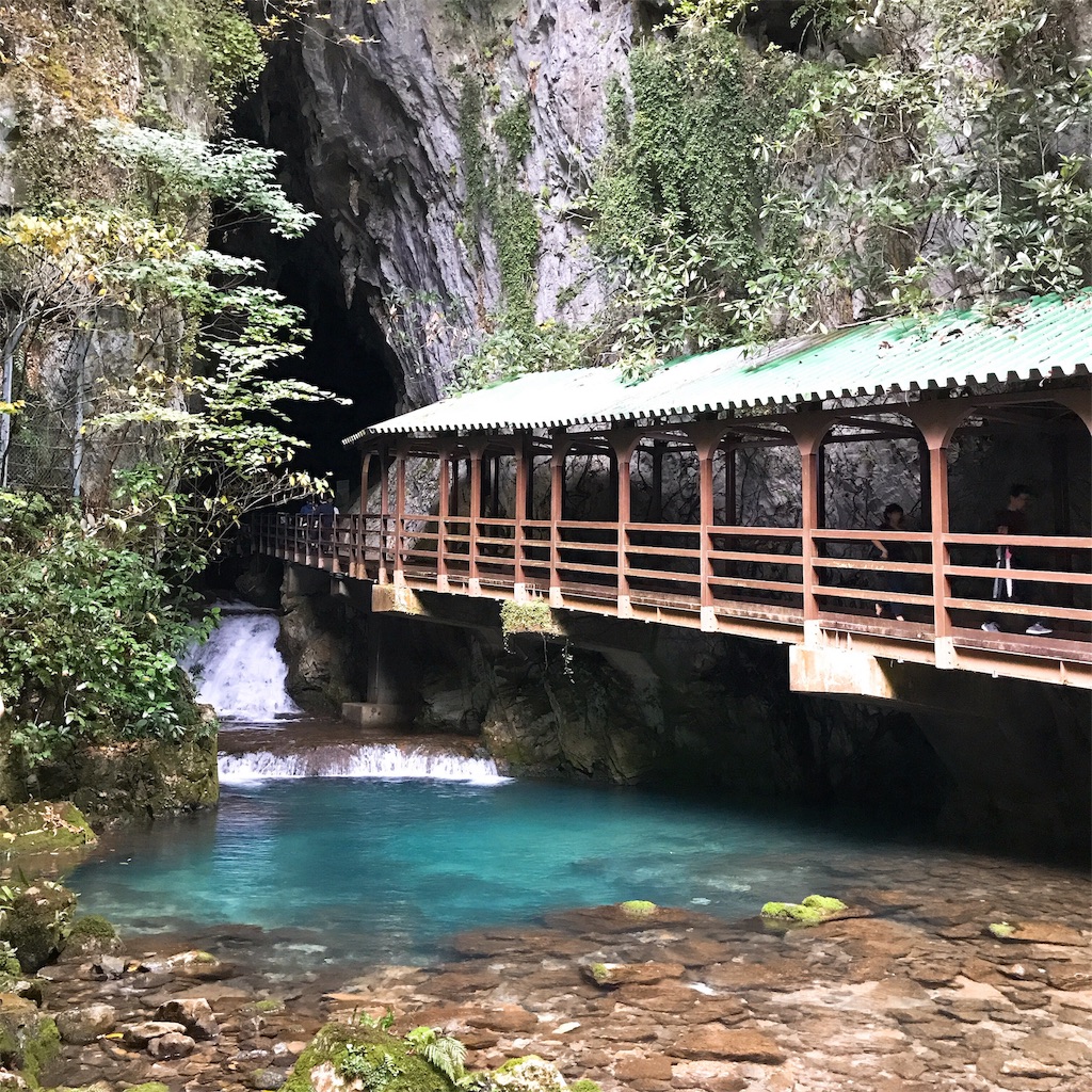 f:id:keeemura:20191016163619j:image f:id:keeemura:20191016163619j:image